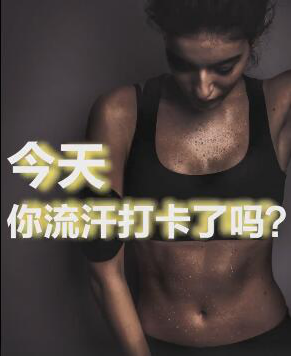 大河报汽车网