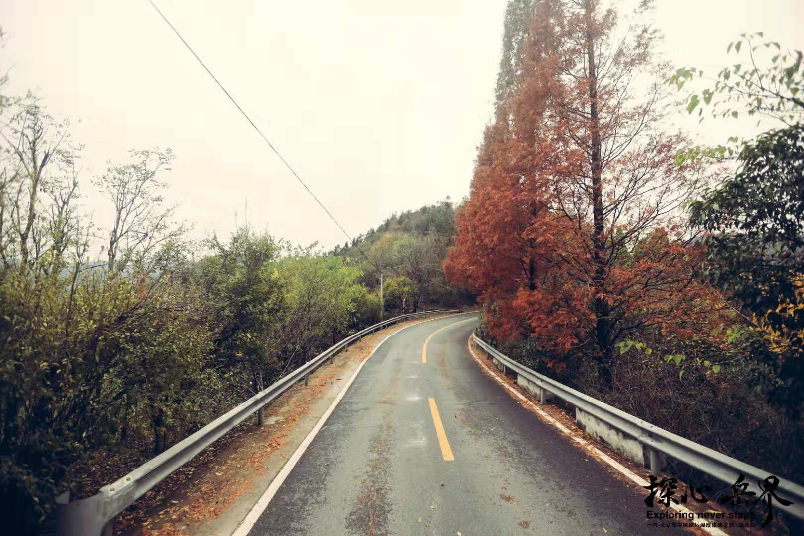 探心岳界  随一汽大众探岳行游荆楚大地  