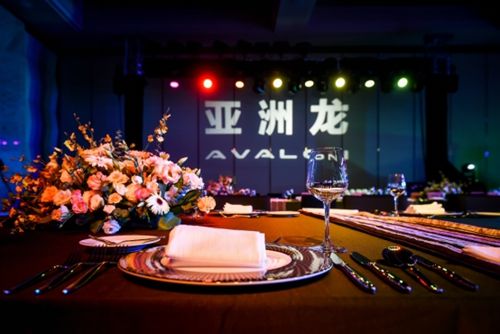 亚洲龙AVALON双极精英之夜             