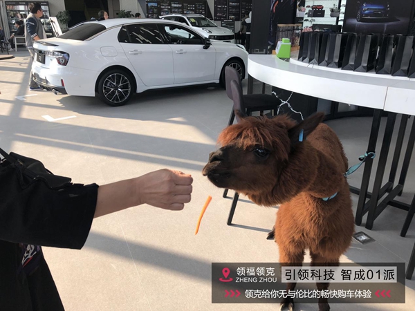a 图片30.jpg