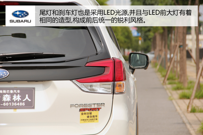 a6.jpg
