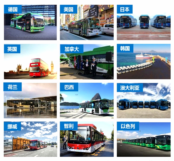 a8.jpg
