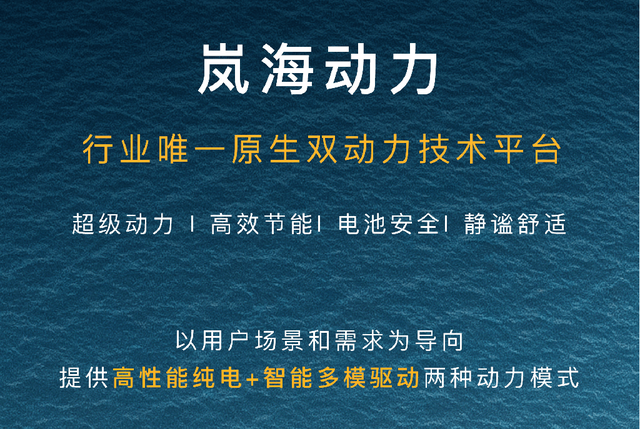 岚海动力：行业目前唯一原生双动力技术平台
