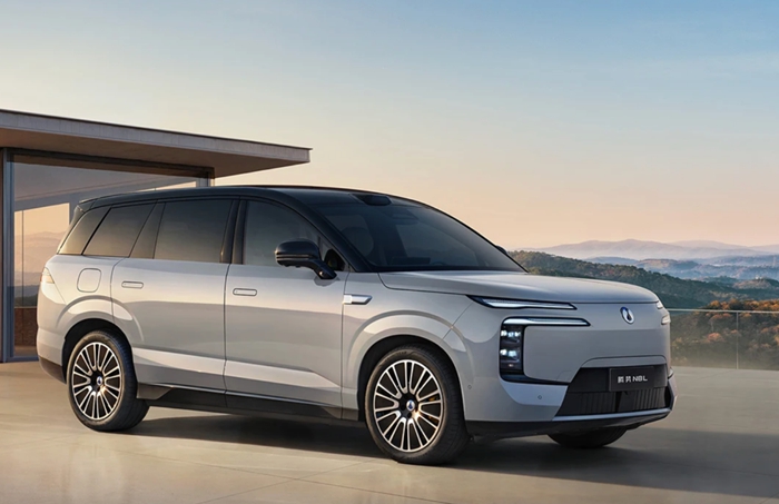 1763041479272519.jpg 2.jpg