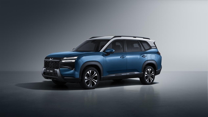 1765257405947391.jpg 1.jpg