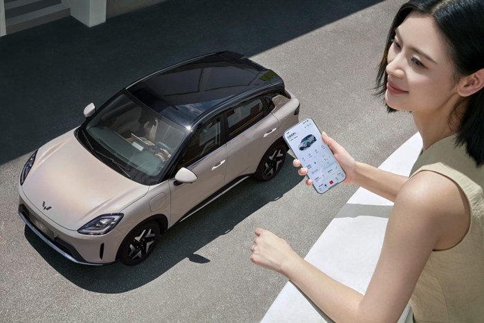 1765533089248622.jpg 6.jpg