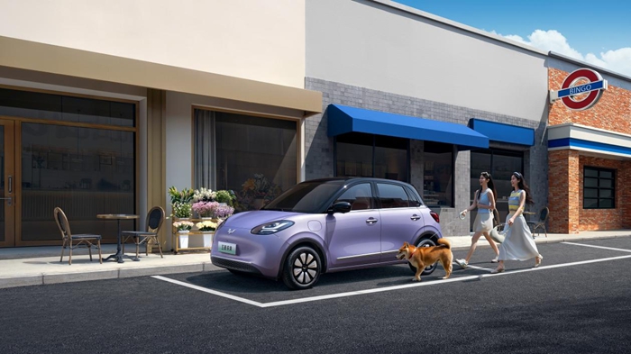 1765533121891844.jpg 5.jpg