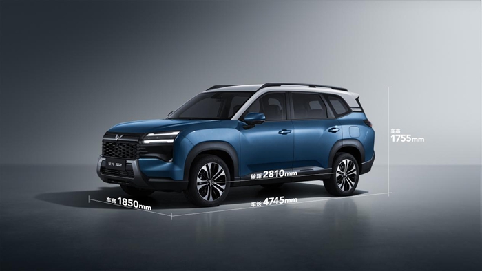 1765769866649699.jpg 1.jpg