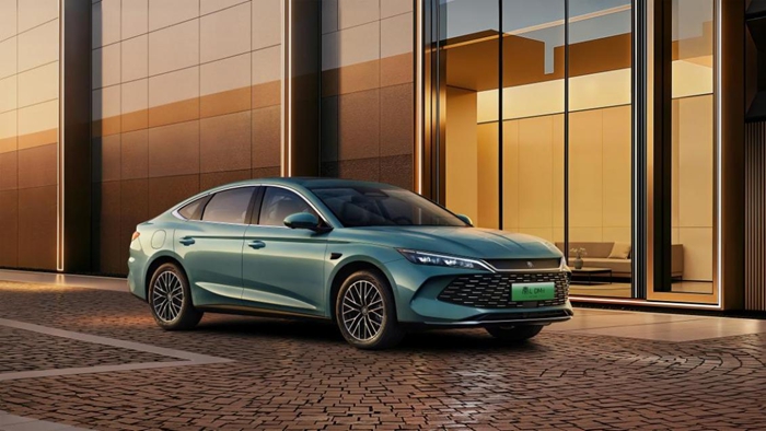 1768130104638393.jpg 5.jpg