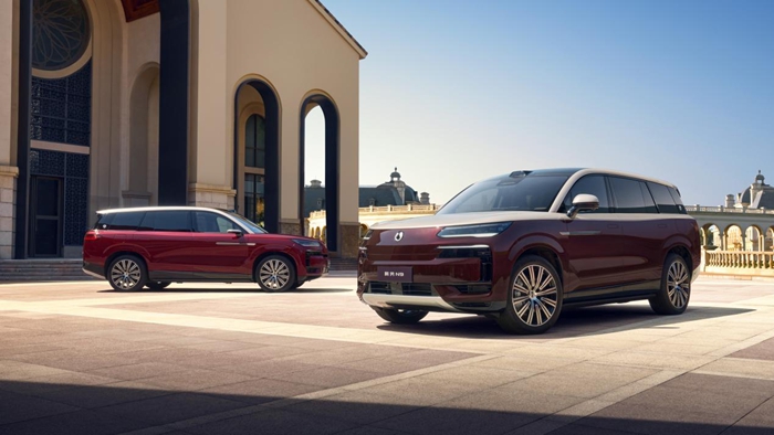 1769335968377013.jpg 02.jpg