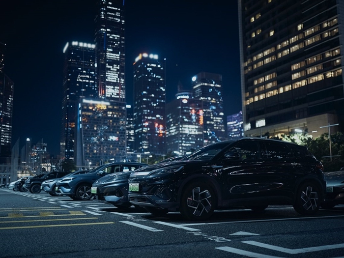 1772164395229447.jpg 2.jpg